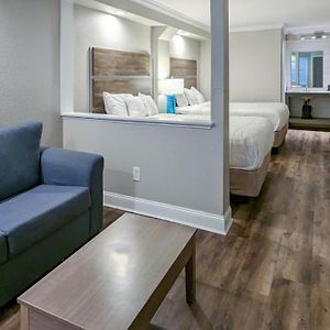 Quarto palm de casal
